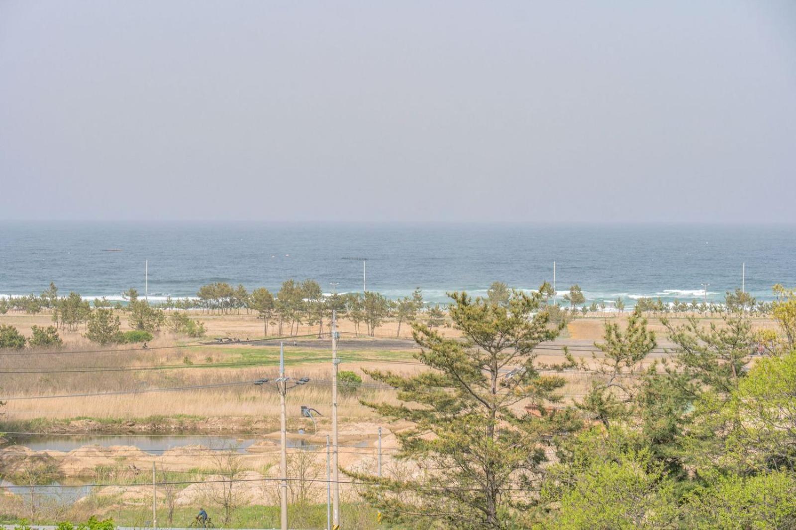 Zio Pinetree Hotel Yangyang Exterior foto